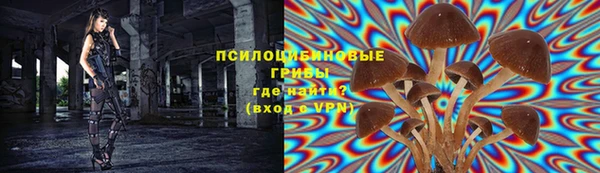 гашик Коряжма