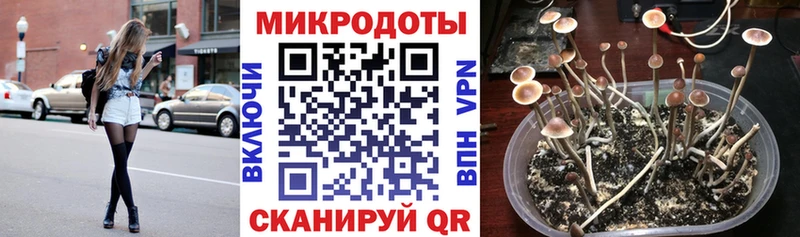 купить   Кирово-Чепецк  сайты даркнета официальный сайт  Псилоцибиновые грибы GOLDEN TEACHER 